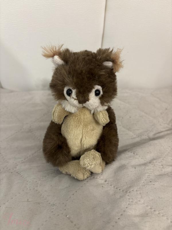 imusau.lt | parduodama ,,Bukowski” voveriukas