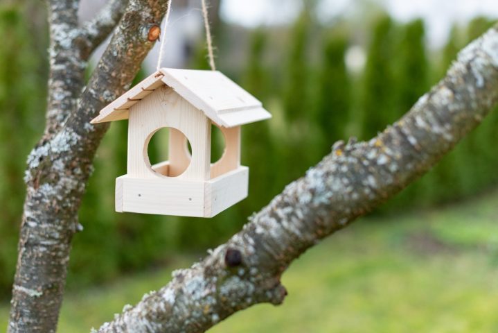 imusau.lt | parduodama Medinė lesyklėlė