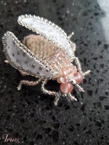 imusau.lt | parduodama sagė- vabalas rožinis