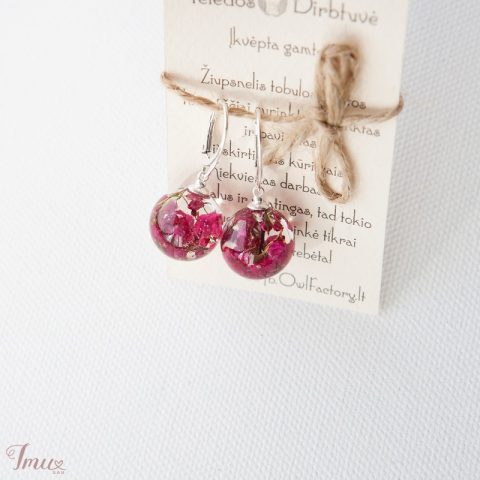 imusau.lt | parduodama Auskarai "Erika"