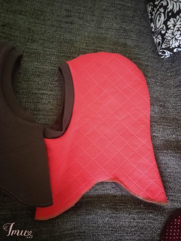 imusau.lt | parduodama Dvipusis Salmukas!