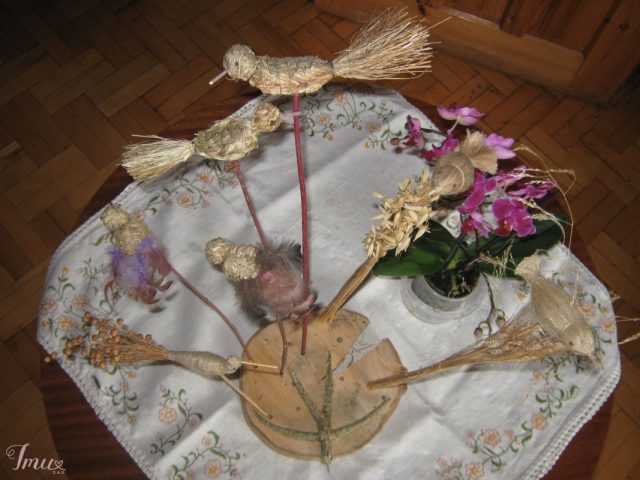 imusau.lt | parduodama Paukščiukai