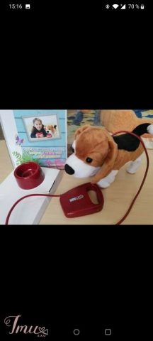 imusau.lt | parduodama Pipi Max šuniukas