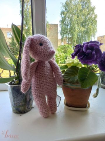 imusau.lt | parduodama nertas triušis