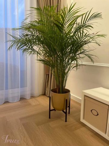 imusau.lt | parduodama gėlių stovas